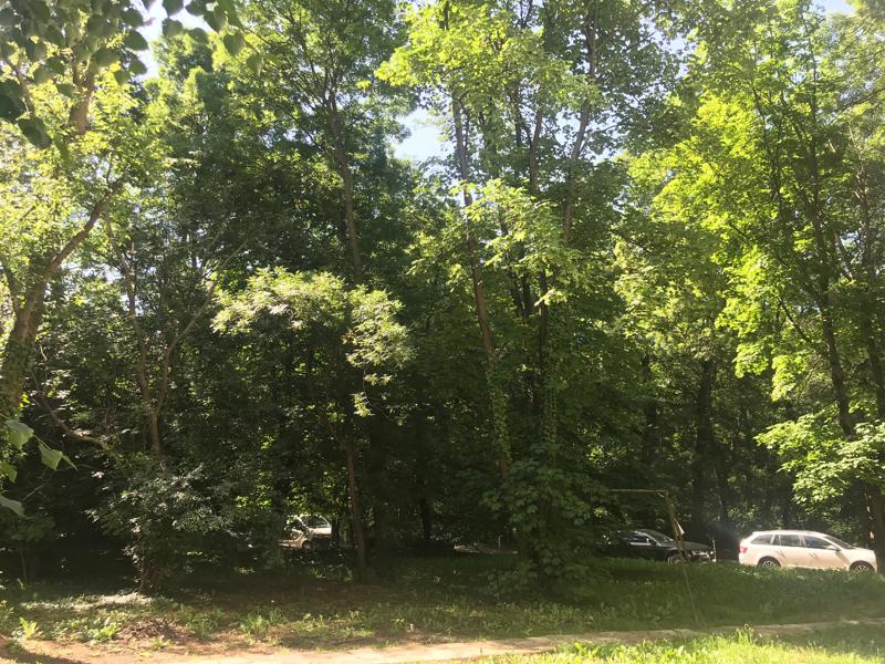 À venda  2 quartos Sofia , Lozenec , 89 m² | 88581231 - imagem [11]