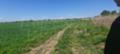 Продава ПАРЦЕЛ, гр. Пловдив, Индустриална зона - Юг, снимка 2