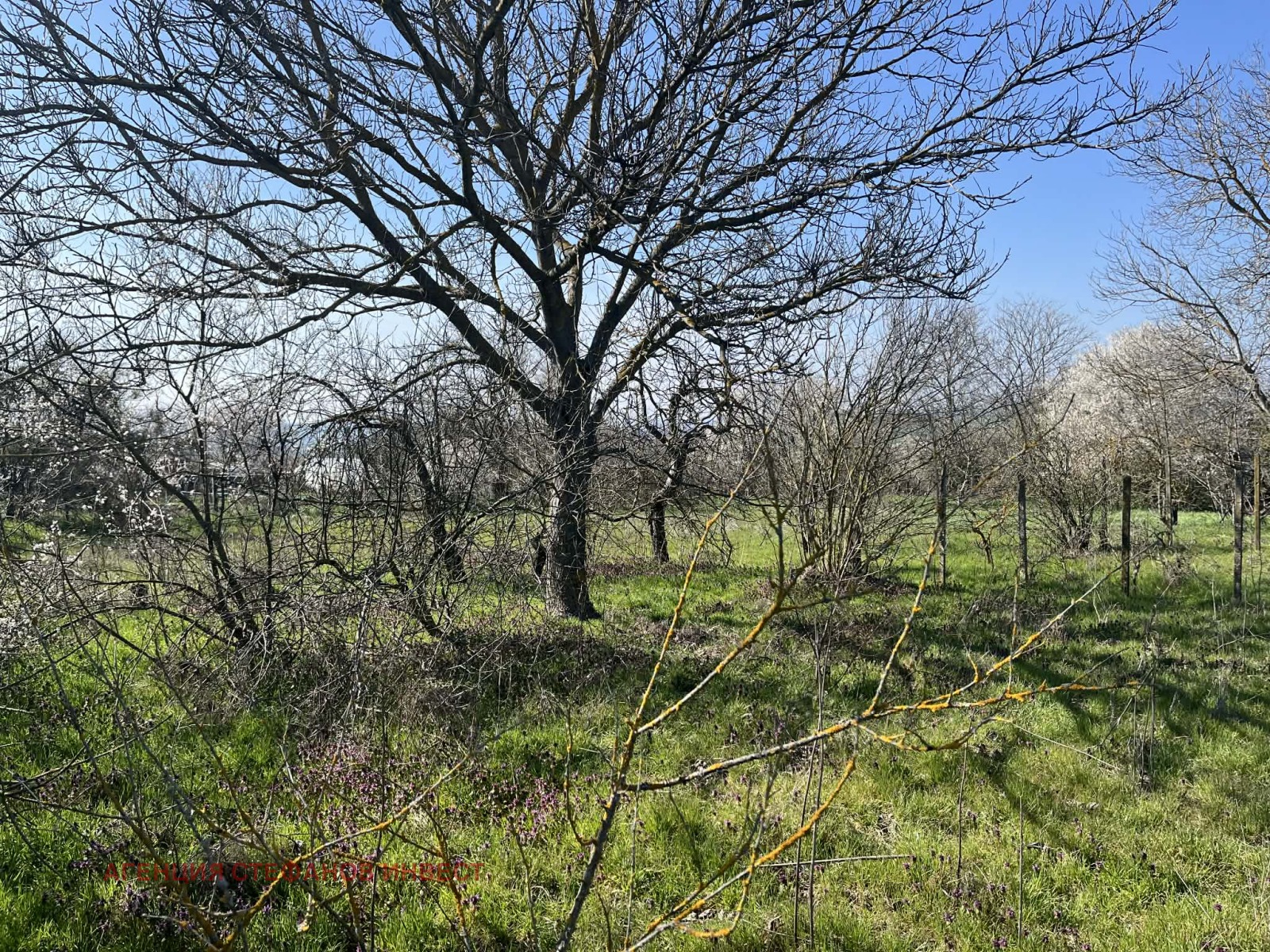 ������� ���� | Imot.bg � ����������� 12