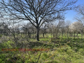 ������� ���� | Imot.bg � ����� ������ 12