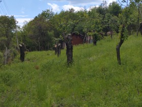 ������� ���������� ���� | Imot.bg � ����� ������ 5