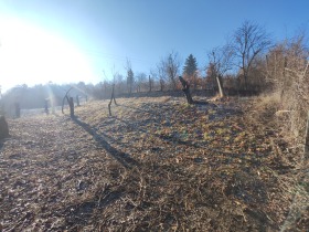 ������� ���������� ���� | Imot.bg � ����� ������ 6