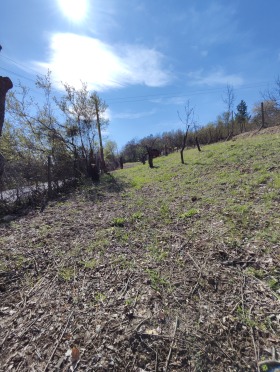 ������� ���������� ���� | Imot.bg � ����� ������ 2