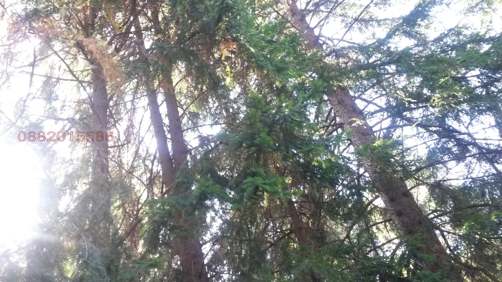 Продава ВИЛА, с. Панагюрски колонии, област Пазарджик, снимка 5 - Вили - 53909556