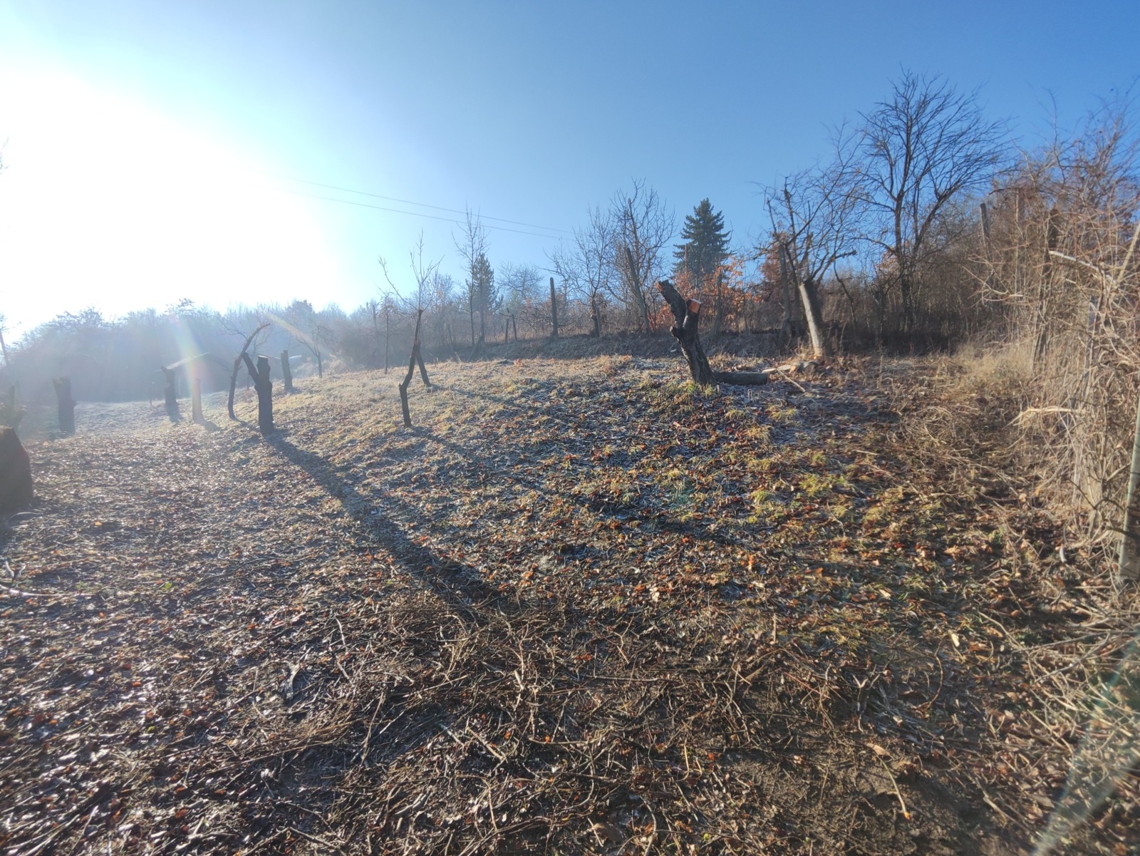 Продава ЗЕМЕДЕЛСКА ЗЕМЯ, гр. Кюстендил, област Кюстендил, снимка 5 - Земеделска земя - 54215669