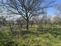 Продава КЪЩА, област Варна, с. Юнак • 29000 € / 56719.07 лв. • 72392815 12