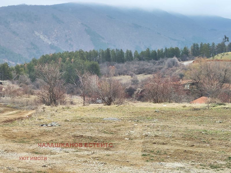 Продава ПАРЦЕЛ в град София, с. Панчарево - 1109 кв.м / 90 000 € » 176 024.70 лв., ЧАЛАШКАНОВ ЕСТЕЙТС