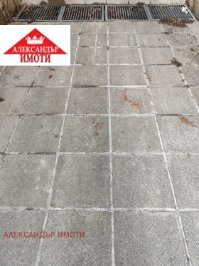 ����� ������� �����,���� �����, ���������