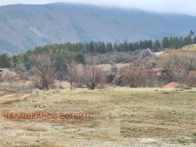 ����� ������� ������,���� �����, �. ���������