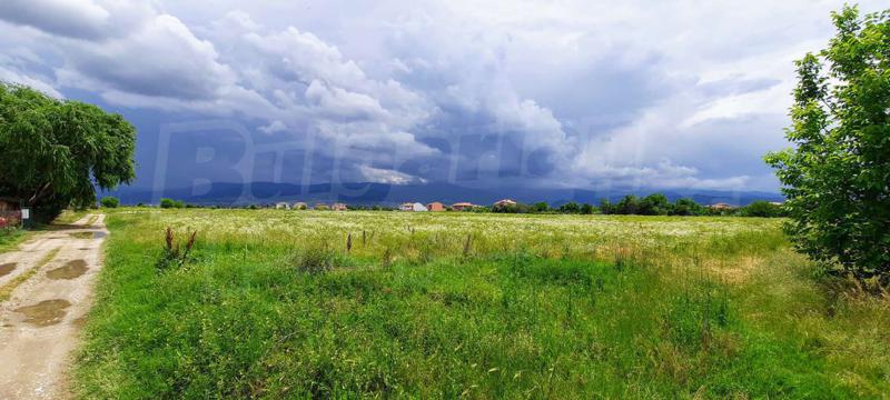 For Sale  Plot Plovdiv , Proslav , 8783 sq.m | 62765862 - image [2]