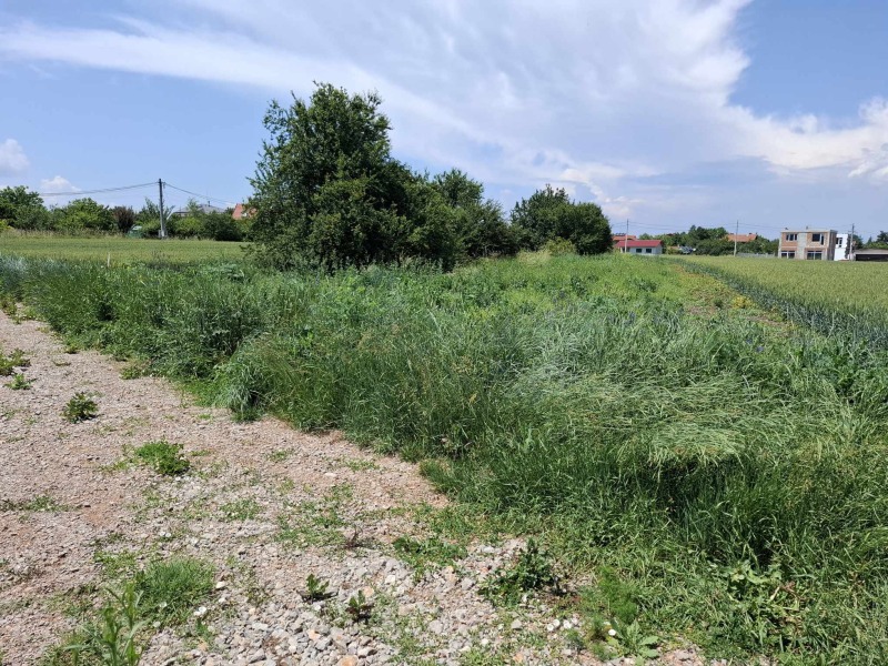 Til salgs  Plott region Sofia , Bosjurishte , 855 kvm | 83181716 - bilde [4]