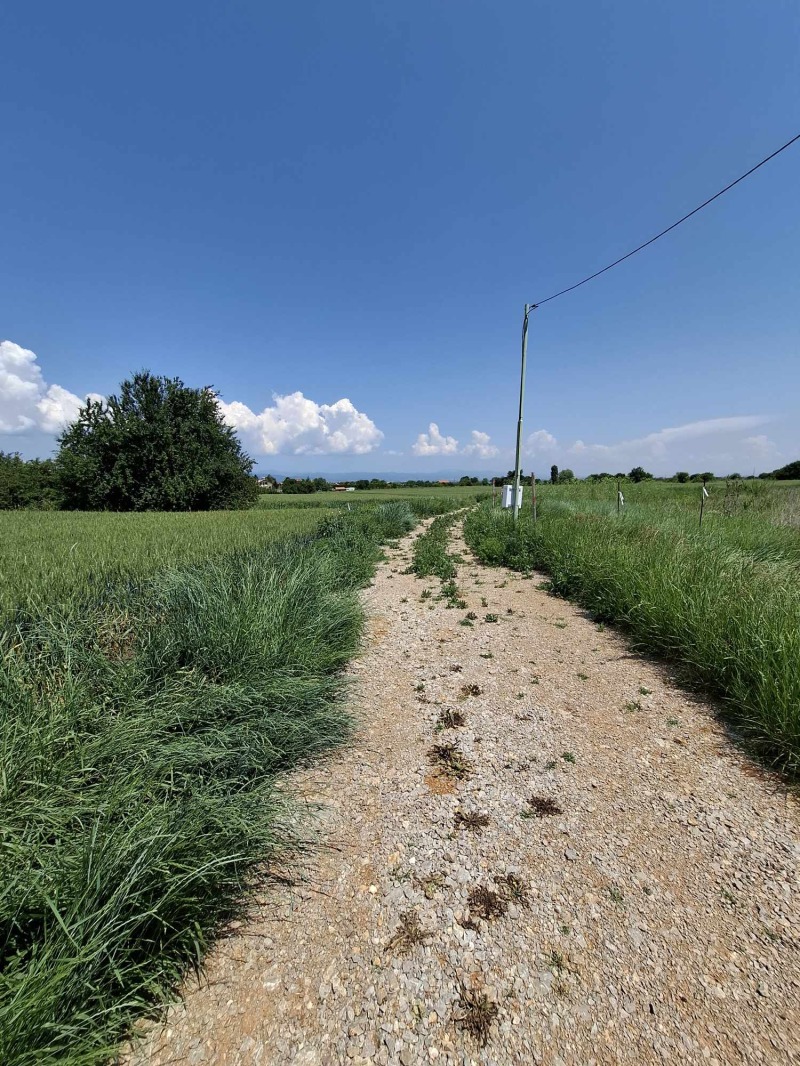 Til salgs  Plott region Sofia , Bosjurishte , 855 kvm | 83181716 - bilde [10]