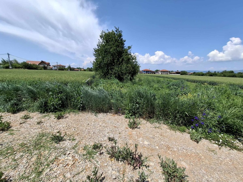 Til salgs  Plott region Sofia , Bosjurishte , 855 kvm | 83181716 - bilde [2]