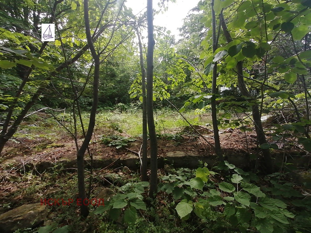 ������� ������ | Imot.bg � ����������� 13