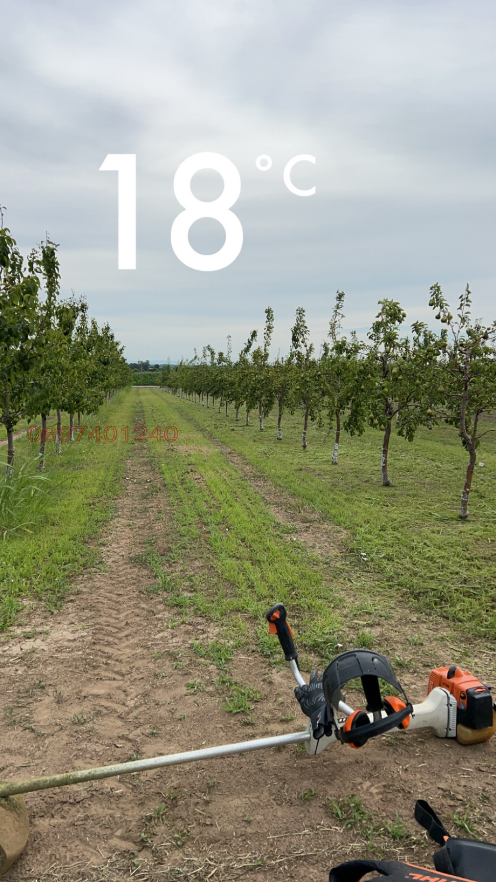 ������� ���������� ���� | Imot.bg � ����������� 11