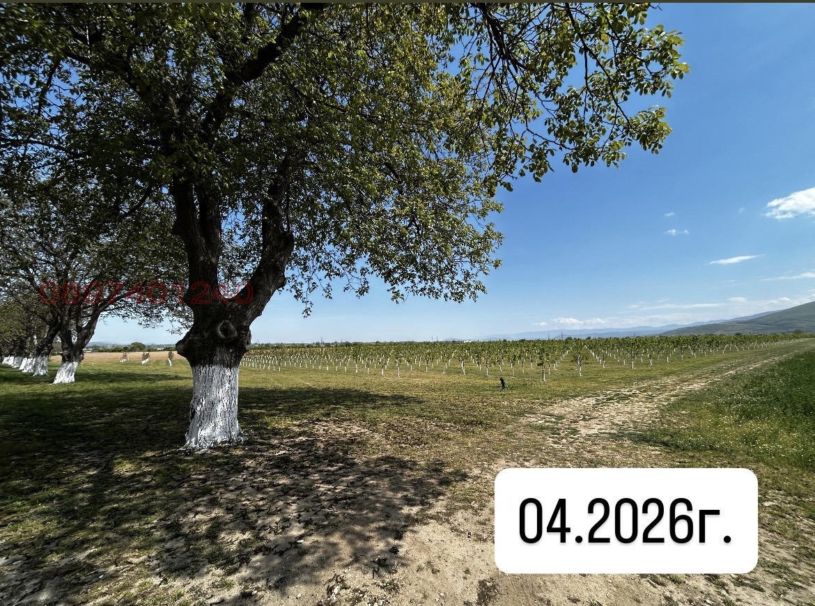 ������� ���������� ���� | Imot.bg � ����������� 12