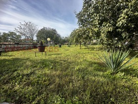 House Balgarevo, region Dobrich 6