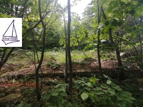 ������� ������ | Imot.bg � ����� ������ 13