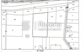 ����� ������� ������,���� �����, �. �����