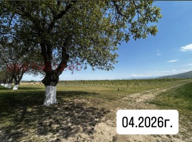 ������� ���������� ���� | Imot.bg � ����� ������ 12
