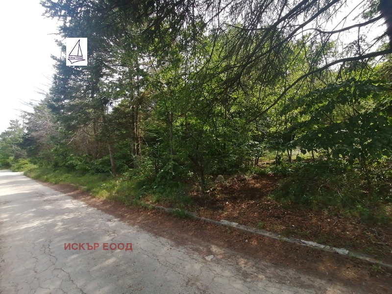 Продава ПАРЦЕЛ, гр. Бяла, област Варна, снимка 10 - Парцели - 53256859