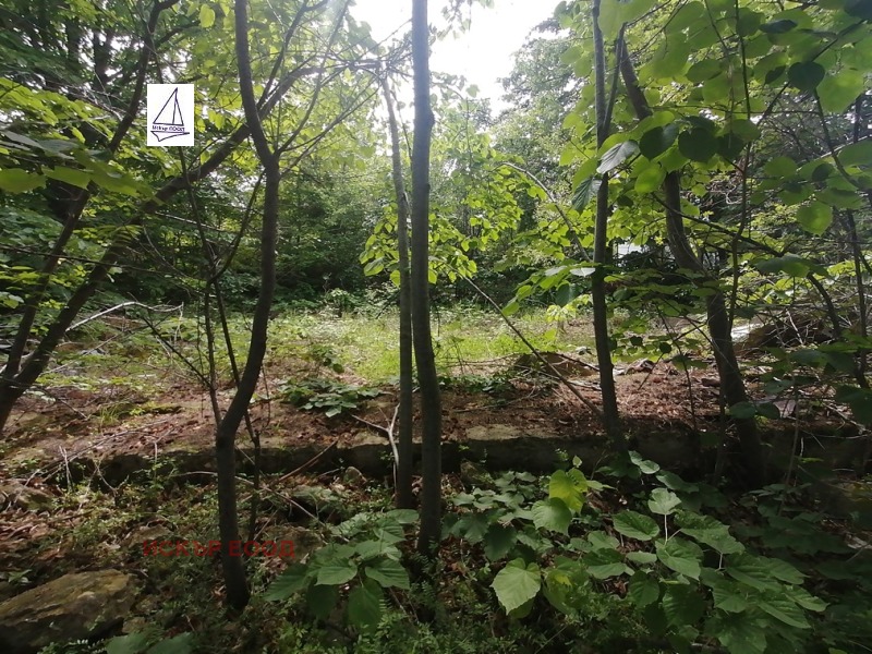 Продава ПАРЦЕЛ, гр. Бяла, област Варна, снимка 12 - Парцели - 53256859