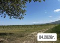 Продава ЗЕМЕДЕЛСКА ЗЕМЯ, с. Симеоновец, област Пазарджик, снимка 3