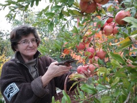 σπίτι ΤΣερνομορετσ, περιοχή Μπουργκάς 15