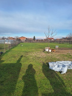 ����� ������� ������,�. �����, ������ �������