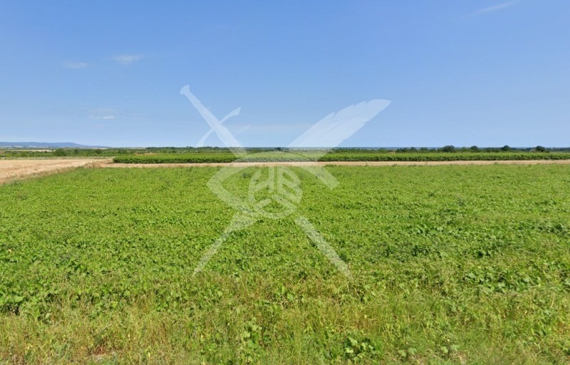 À venda  Trama região Burgas , Ravadinovo , 15694 m² | 74496057