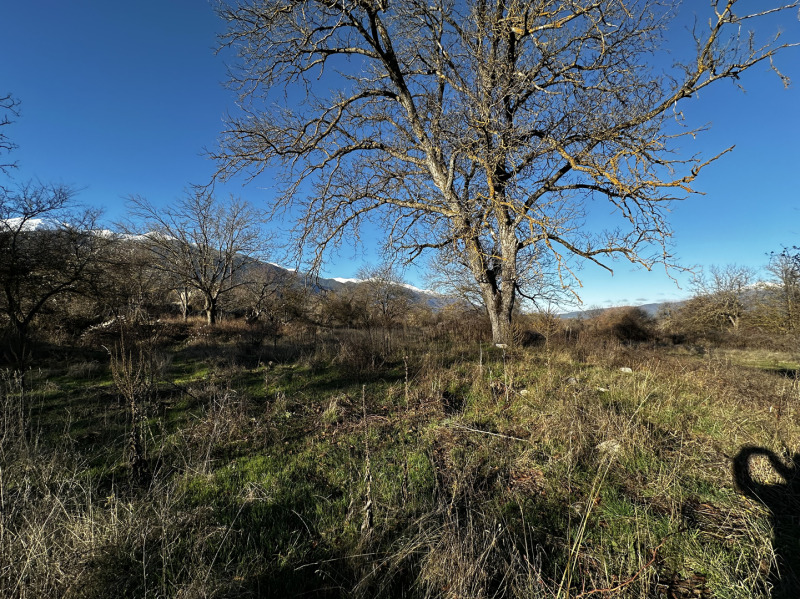 Продава ПАРЦЕЛ, гр. Банско, област Благоевград, снимка 8 - Парцели - 52605199