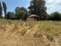 Продава ПРОМ. ПОМЕЩЕНИЕ, област Благоевград, гр. Петрич • 100000 € • 60473935 — Holmes.bg