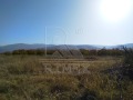 Продава ПАРЦЕЛ, област Пловдив, с. Браниполе • 327450 € • 55987922 — Holmes.bg