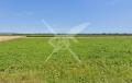 Продава ПАРЦЕЛ, област Бургас, с. Равадиново • 142000 € • 74316011 — Holmes.bg