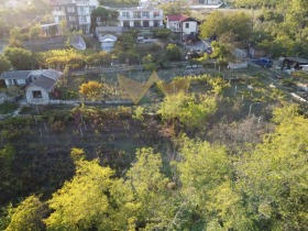 ����� ������� ������,���� �����, ������