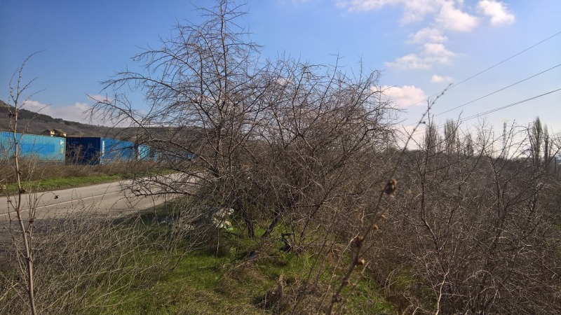 Satılık  Komplo bölge Varna , Devnya , 14652 metrekare | 95992689 - görüntü [10]