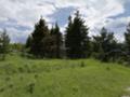 Продава ПАРЦЕЛ, с. Павелско, област Смолян, снимка 13