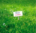 Продава ПАРЦЕЛ, област Бургас, с. Мъдрино • 36000 € • 73137432 — Holmes.bg
