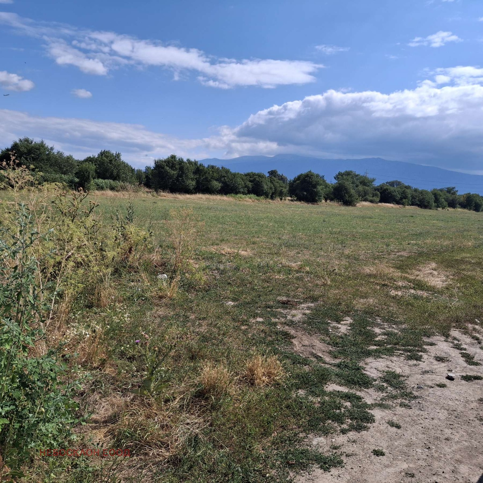 ������� ������ | Imot.bg � ����������� 8