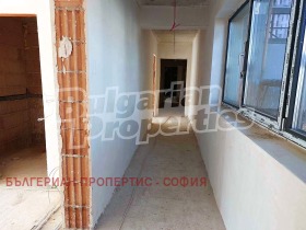 ����� ������� 2-�����,���� �����, �������