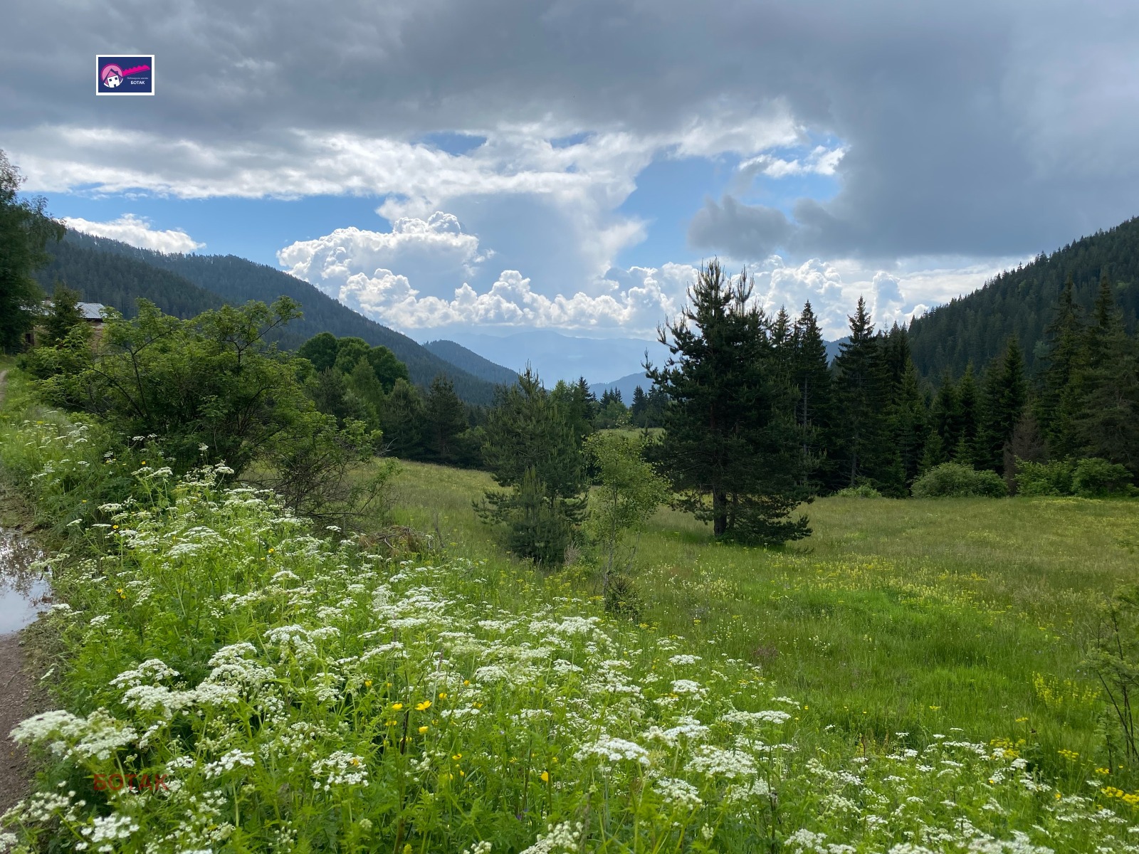 Продава ПАРЦЕЛ, с. Фотиново, област Пазарджик, снимка 3 - Парцели - 55185272