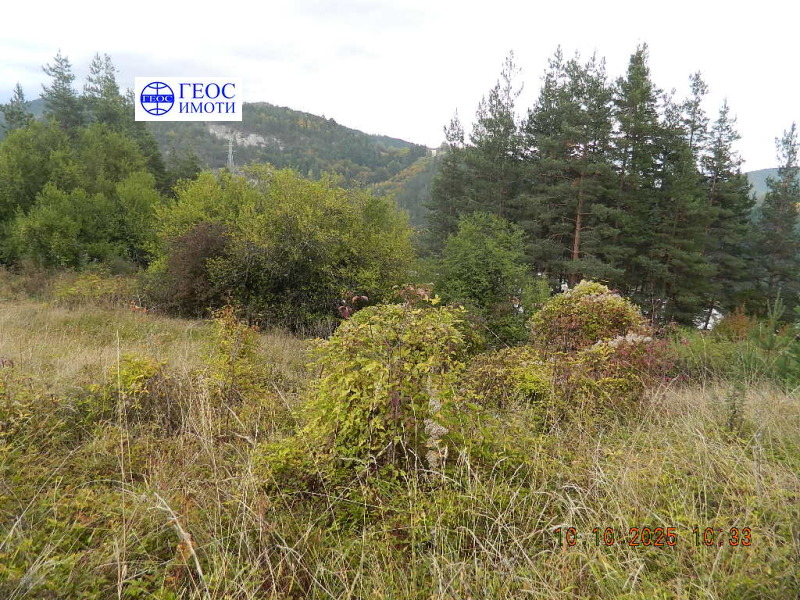 Продава ПАРЦЕЛ в град Смолян, Нов център - 590 кв.м / 41 300 € » 80 775.78 лв., ГЕОС ИМОТИ ЕООД