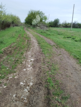 ������� ���������� ���� | Imot.bg � ����� ������ 13