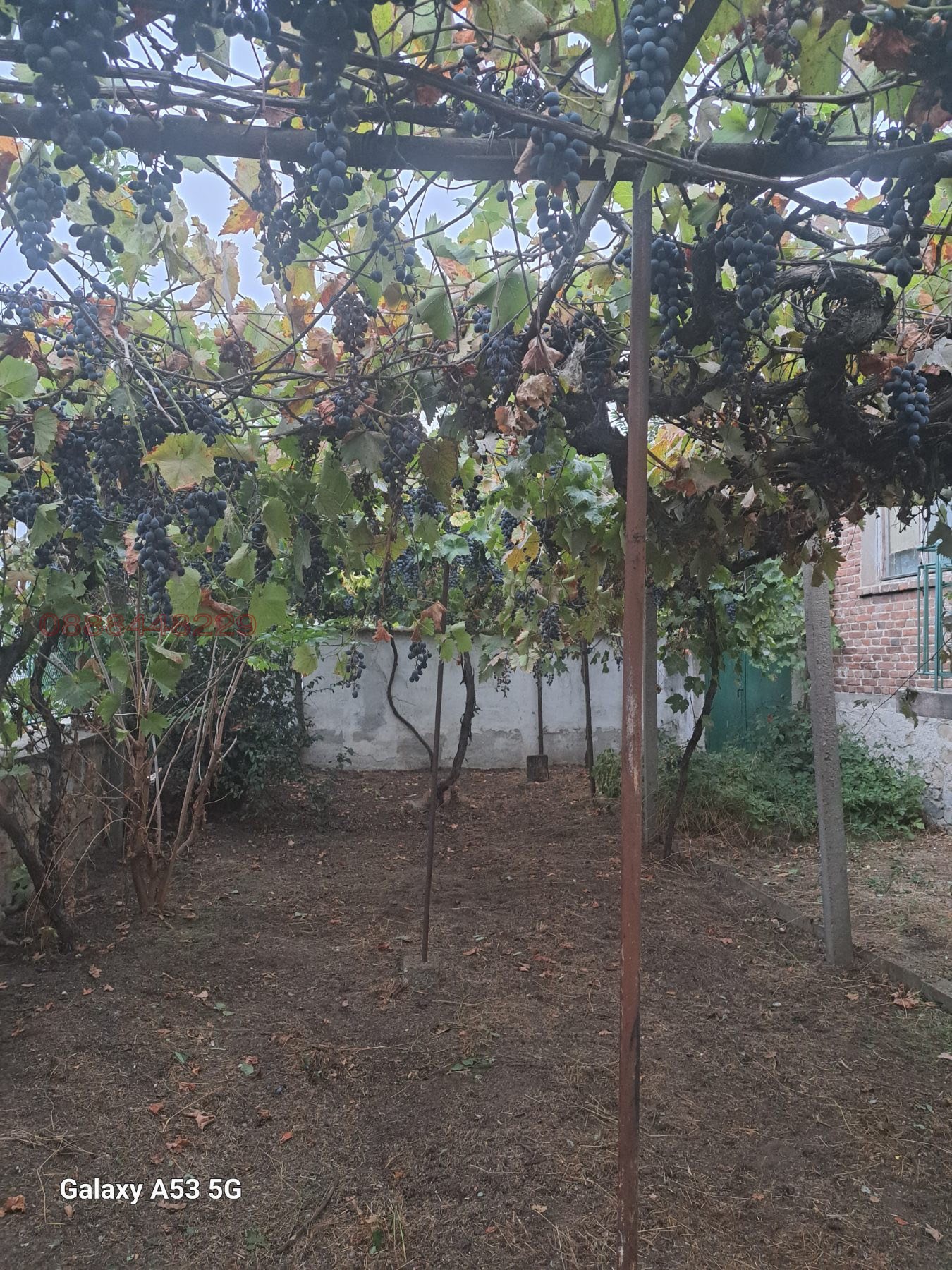 Продава КЪЩА, с. Сарая, област Пазарджик, снимка 4 - Къщи - 56432274