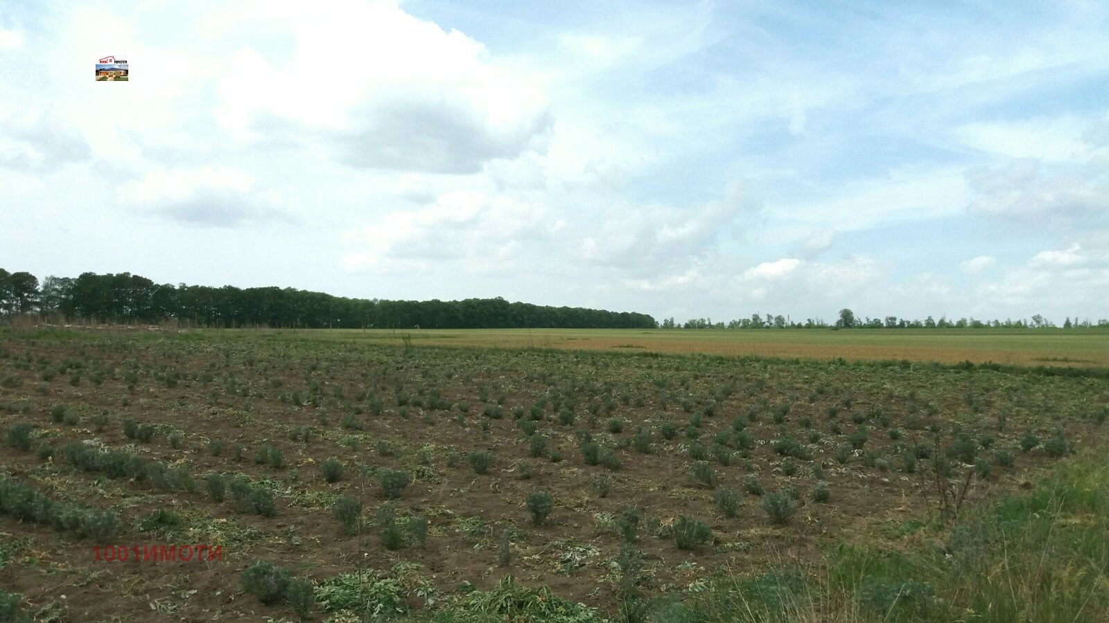 Продава ПАРЦЕЛ, с. Малка Смолница, област Добрич, снимка 2 - Парцели - 37991751