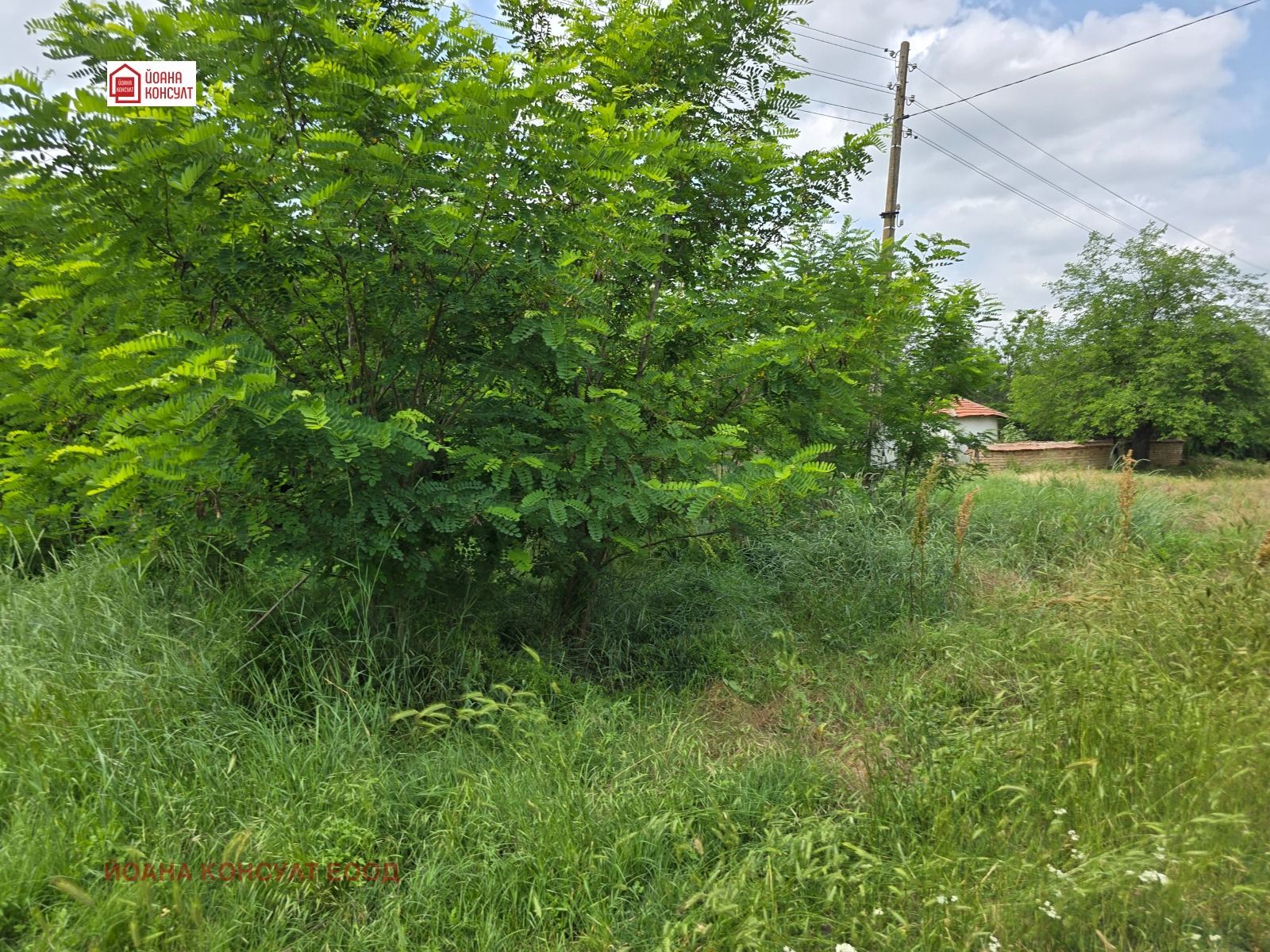 Продава ПАРЦЕЛ, с. Вълчитрън, област Плевен, снимка 2 - Парцели - 50772951