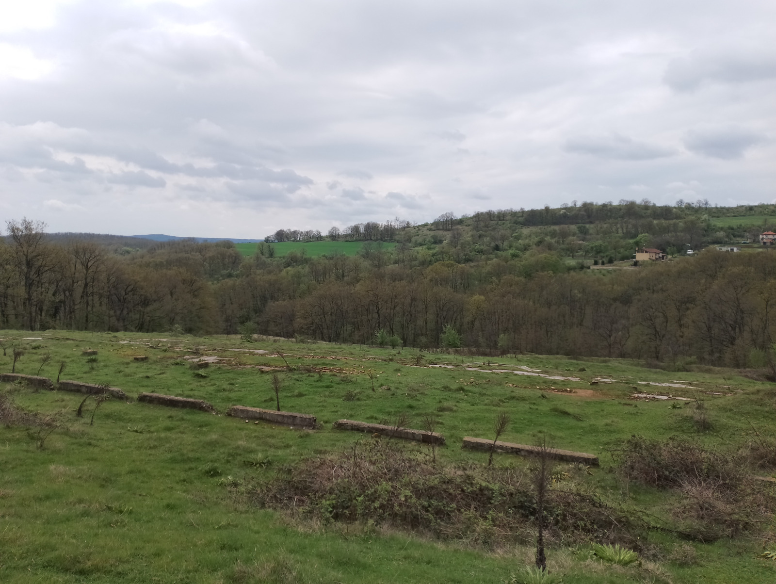 Продава ЗЕМЕДЕЛСКА ЗЕМЯ, с. Солник, област Варна, снимка 13 - Земеделска земя - 53969010