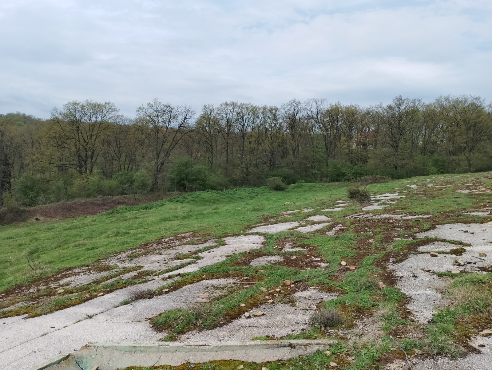 Продава ЗЕМЕДЕЛСКА ЗЕМЯ, с. Солник, област Варна, снимка 2 - Земеделска земя - 53969010