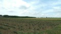 Продава ПАРЦЕЛ, с. Малка Смолница, област Добрич, снимка 2