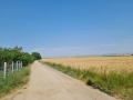 Продава ПАРЦЕЛ, с. Хераково, област София област, снимка 2